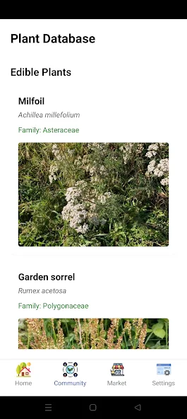 App Screenshot 3